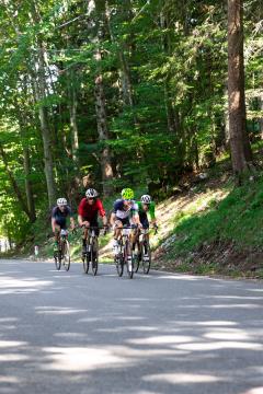 230813 kolesarska-dirka-bistrica-foto-blaz-lencek-005